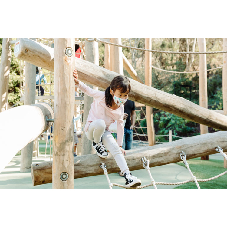 Kids Playground Outdoor Play S - đánh giá và giá Kids Outdoor Climbing Frame